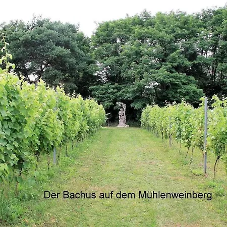 Bestwaner Hotel